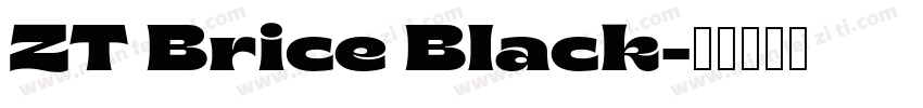 ZT Brice Black字体转换